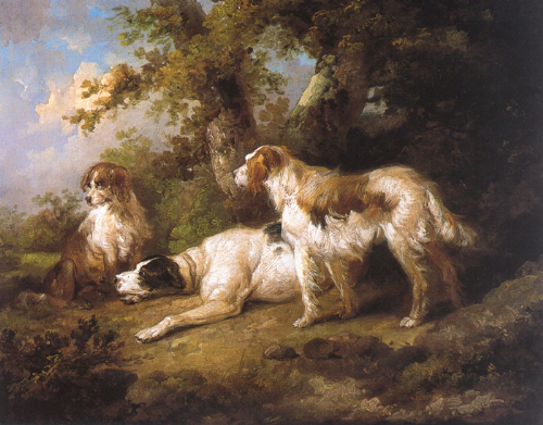 Dogs In Landscape - Setters Pointer